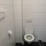 Apartman Cvitkovic Soline (Krk)